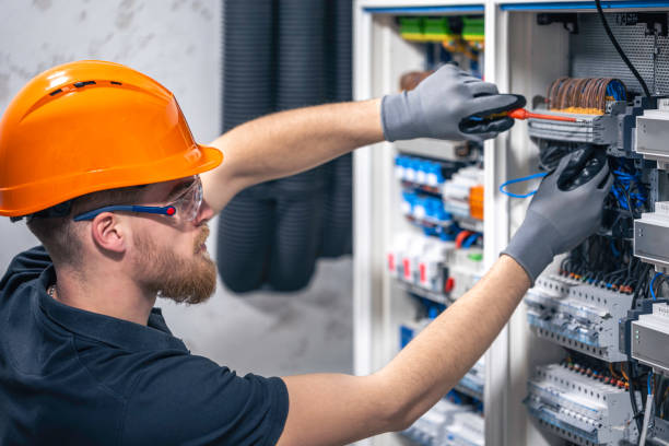 Best Electrical System Inspection  in Hart, MI